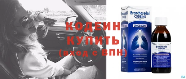 дмт Богородск