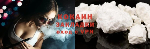 крисы Богородицк