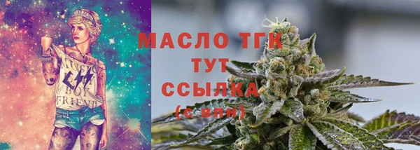 крисы Богородицк