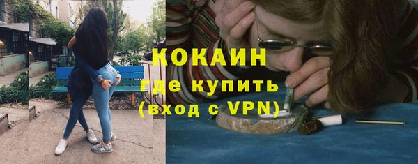 дмт Богородск
