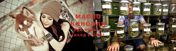 крисы Богородицк